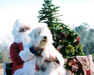 /images/events/19/Annie & Santa 2004-thumb.jpg